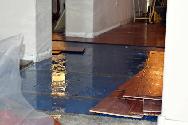 Professional Flood Damage Repair technician working in Racine, WI